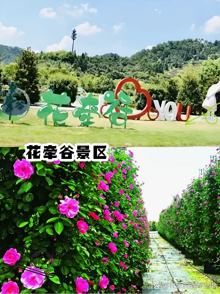 a4ffdb54807a886ccf3dd096217dc1fd-sz_1580855 a4ffdb54807a886ccf3dd096217dc1fd-sz_1580855