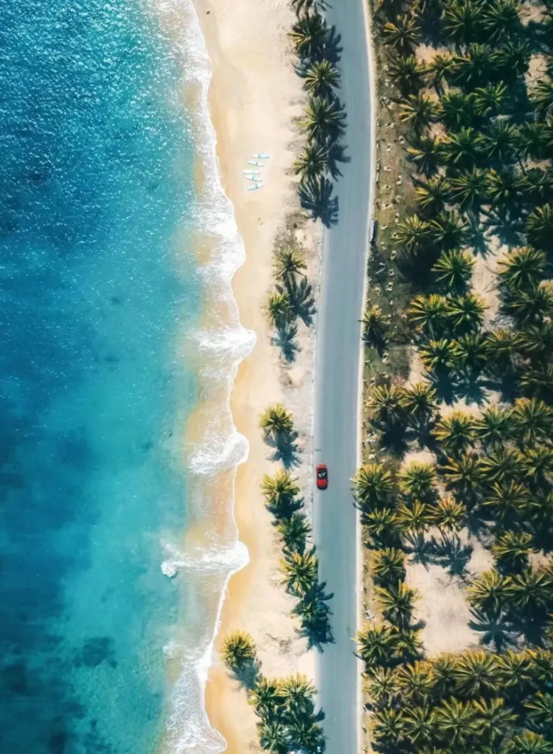 a5051ff07f7130190d939b2341c3759b-sz_3241107