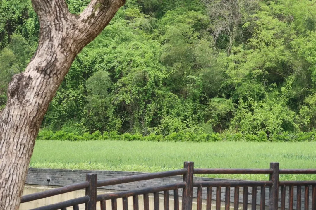 a5166c14f5340516695afdcac86a1091-sz_611231-1