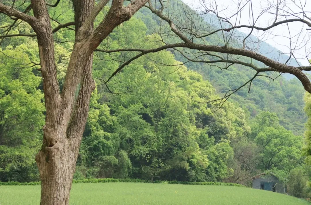 a5166c14f5340516695afdcac86a1091-sz_611231