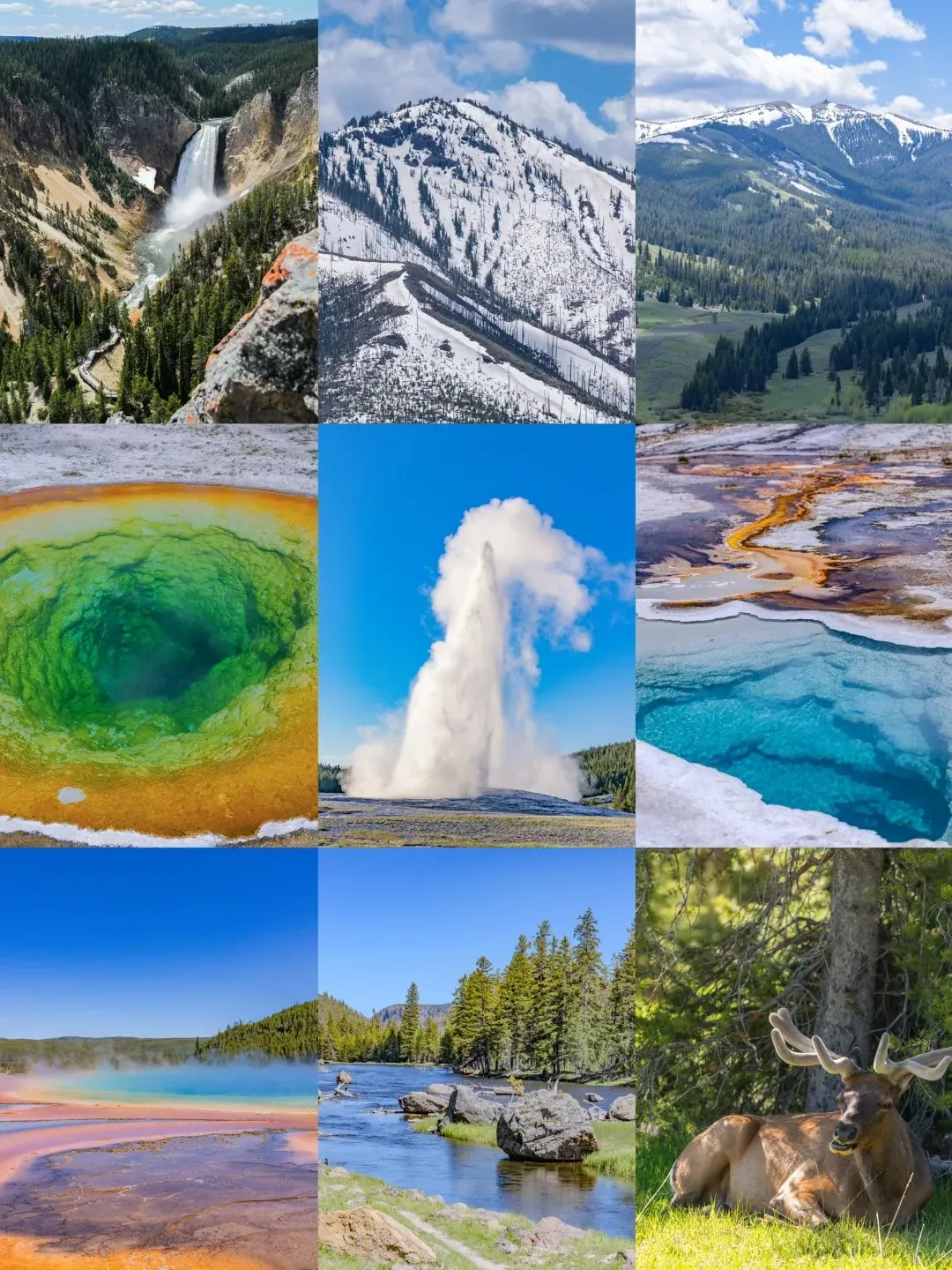 a51787abf3990fff6233617235b0454b-sz_539943 a51787abf3990fff6233617235b0454b-sz_539943