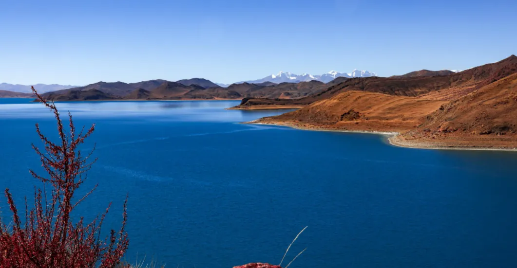 a5439680ae24a66616412b563f56de7d-sz_984114