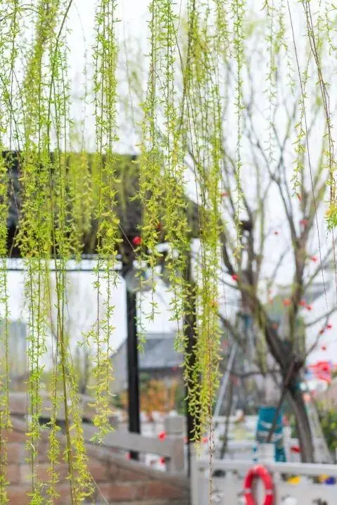 a54d005271ce1864f0dbff67a5015f64-sz_79984 a54d005271ce1864f0dbff67a5015f64-sz_79984