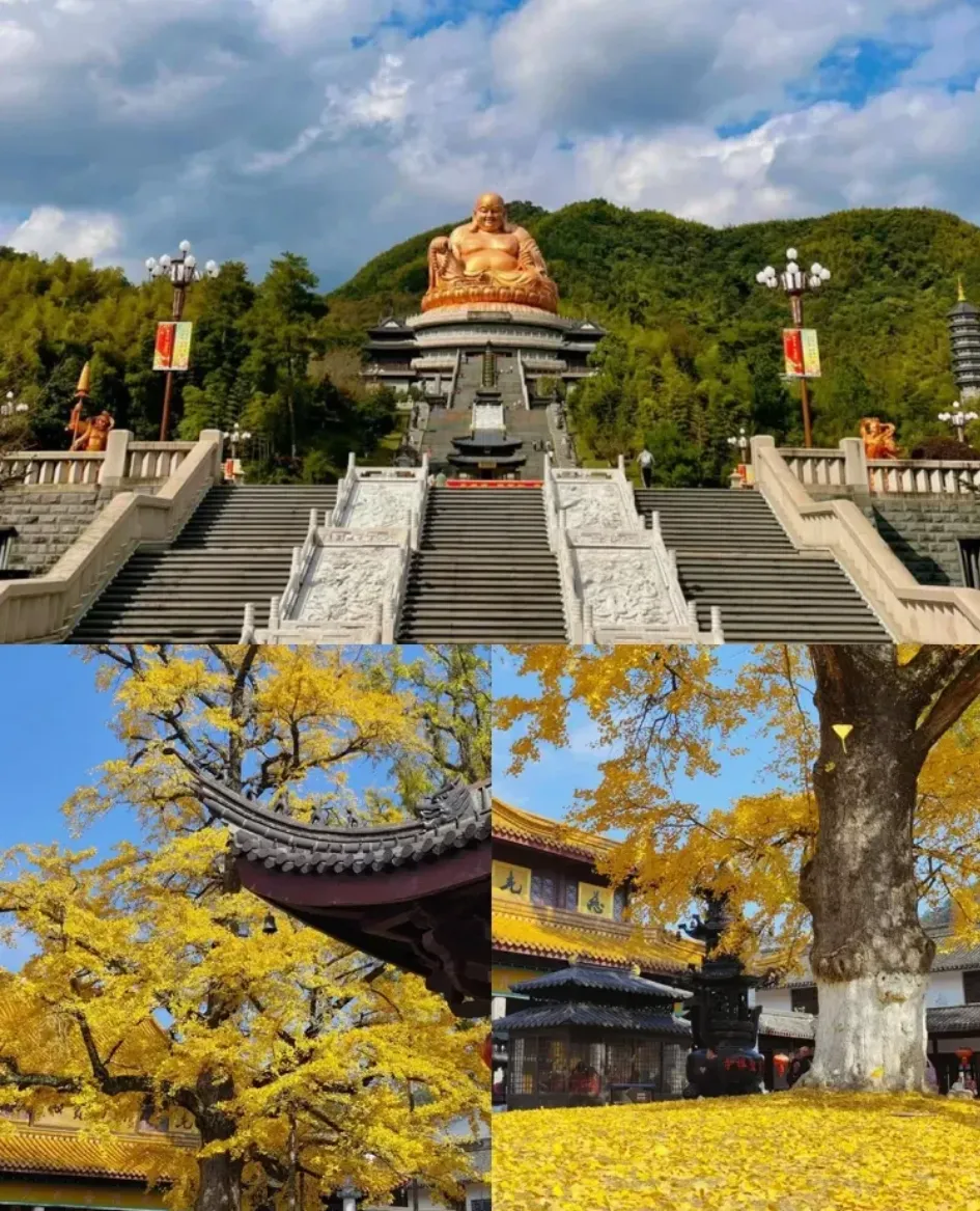 a5683000eee0fddf8638f09db3579b18-sz_2013122