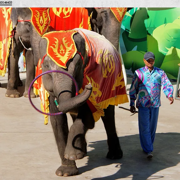 a56b93bfedf9e9380784e7d863a28d6a-sz_1536969 a56b93bfedf9e9380784e7d863a28d6a-sz_1536969