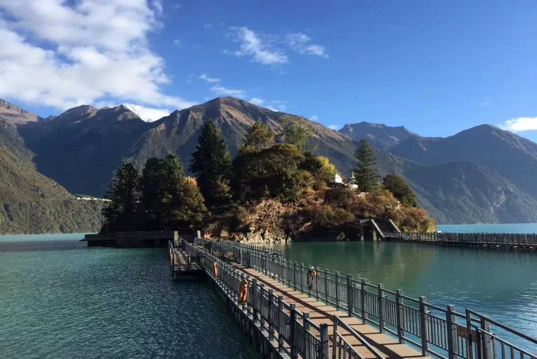 a5a69a7abe0dbf48e719ad73f139f08c-sz_490015