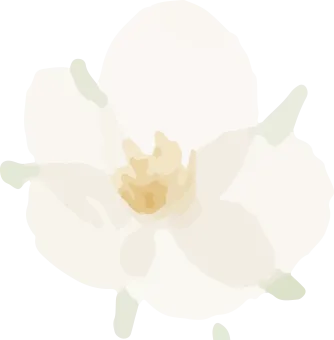 a627cd3a50493e387d4cc794ee1ef55c_sz-36308