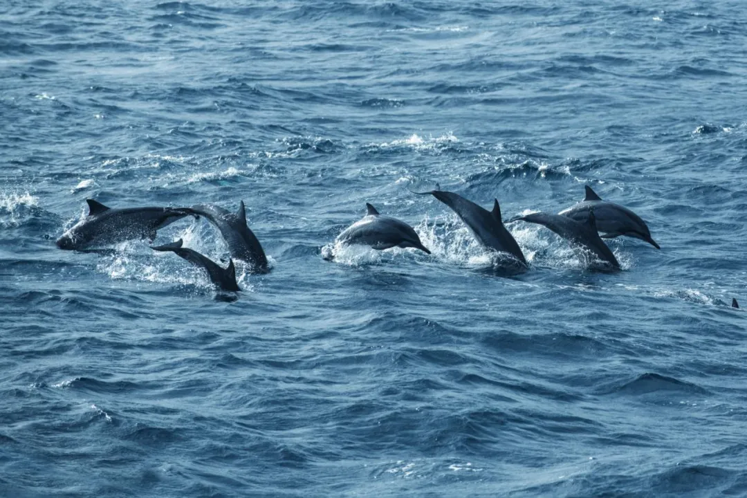 a6fa65c607c6cd1c0a08959d05e24746-sz_1215560 a6fa65c607c6cd1c0a08959d05e24746-sz_1215560