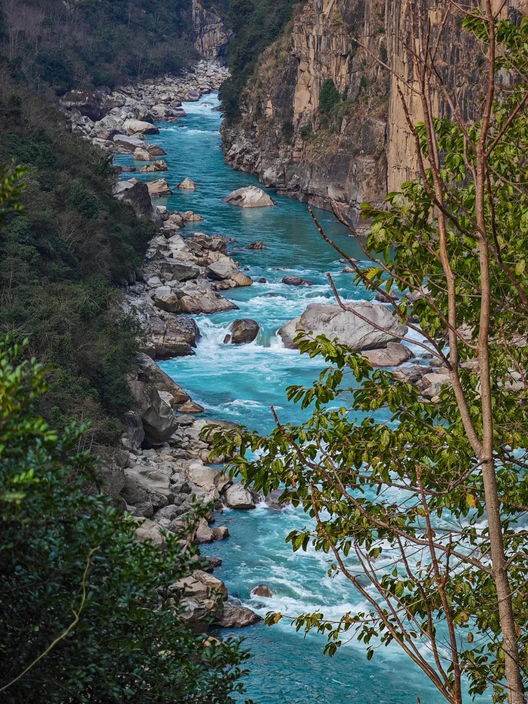 a70aefa0765b414b579c6e685a9d28b2-sz_4208814 a70aefa0765b414b579c6e685a9d28b2-sz_4208814