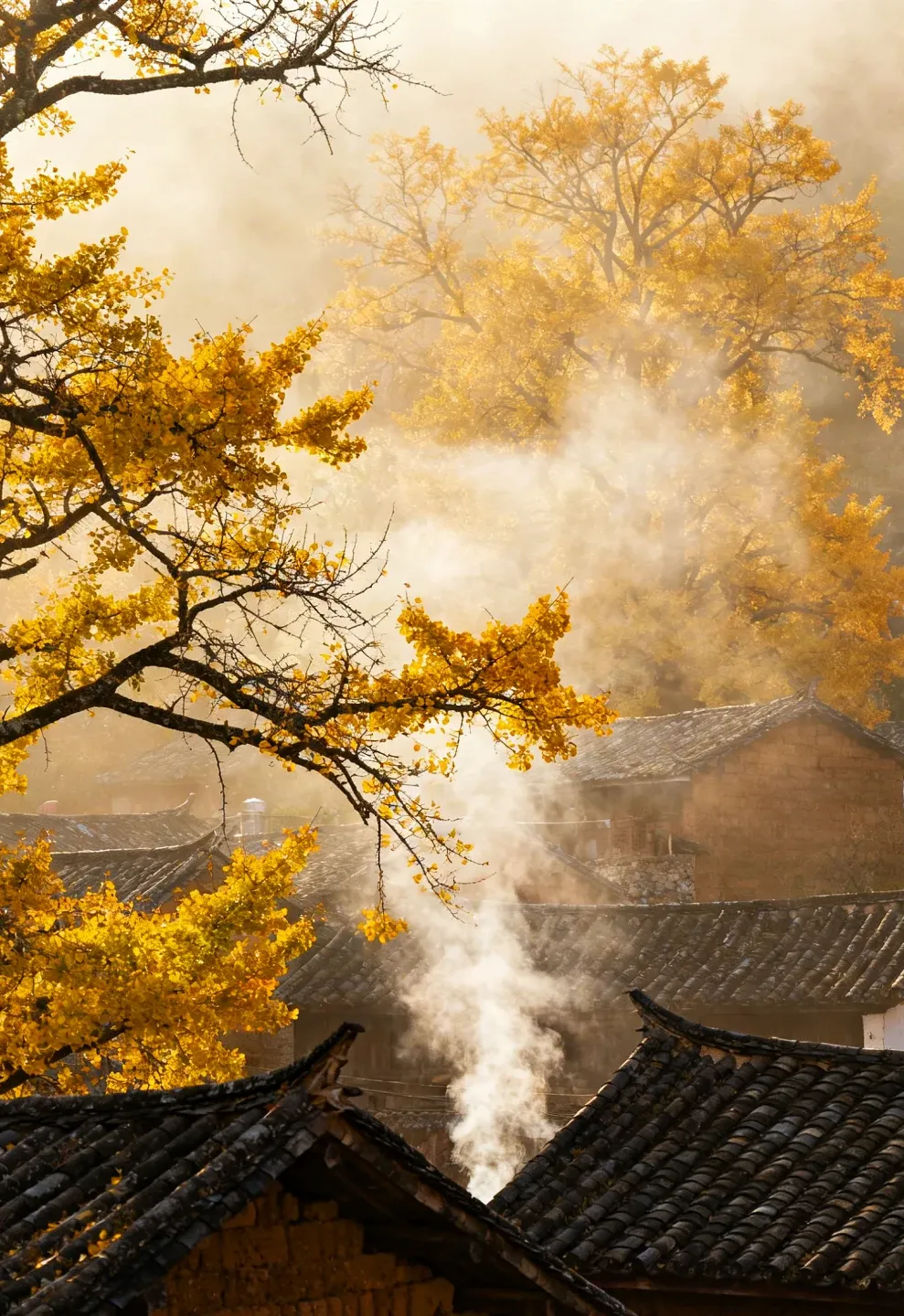 a736feb8e99fed6c3a7504a0faa1356f-sz_2577956 a736feb8e99fed6c3a7504a0faa1356f-sz_2577956