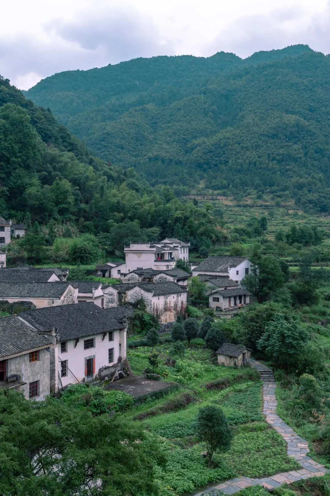 a738f961b808fc973538e0cd7202b5ea-sz_493632