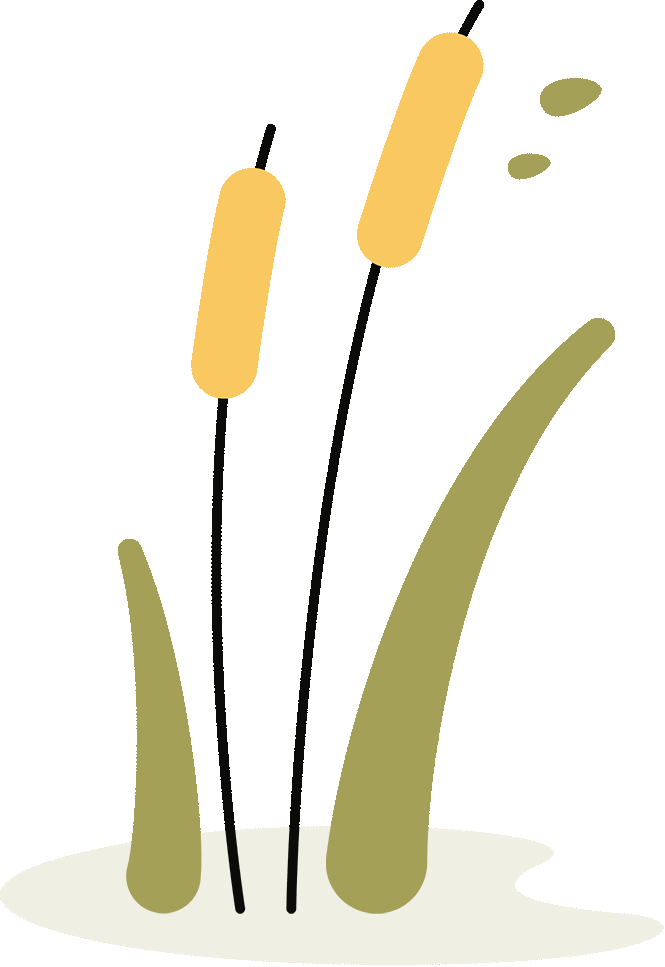 a755fce4331723df4f8bb35b15ef749b-sz_486653 a755fce4331723df4f8bb35b15ef749b-sz_486653