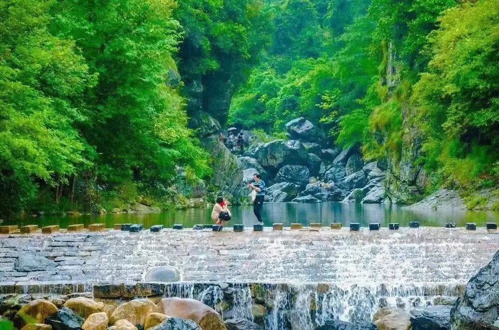 a7569ea180fab8185c6d8d08e656c4b5-sz_226959