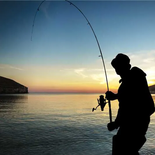 a77315e28a08e3de92a34e619bb7ed0a-sz_516138 a77315e28a08e3de92a34e619bb7ed0a-sz_516138