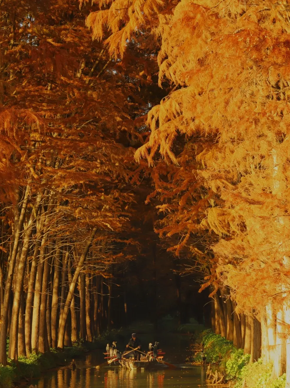 a77529544e73658fd52448552f3bf531-sz_2914680 a77529544e73658fd52448552f3bf531-sz_2914680