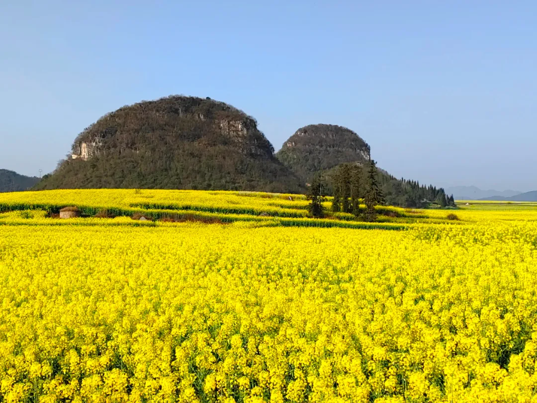 a77f540fe9eff8199901675a80d3789f-sz_2392688