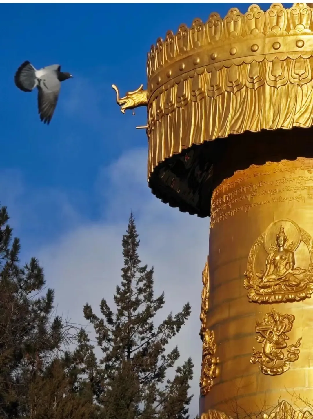 a7904952d1c68579ad4ebcb965762247-sz_355417 a7904952d1c68579ad4ebcb965762247-sz_355417