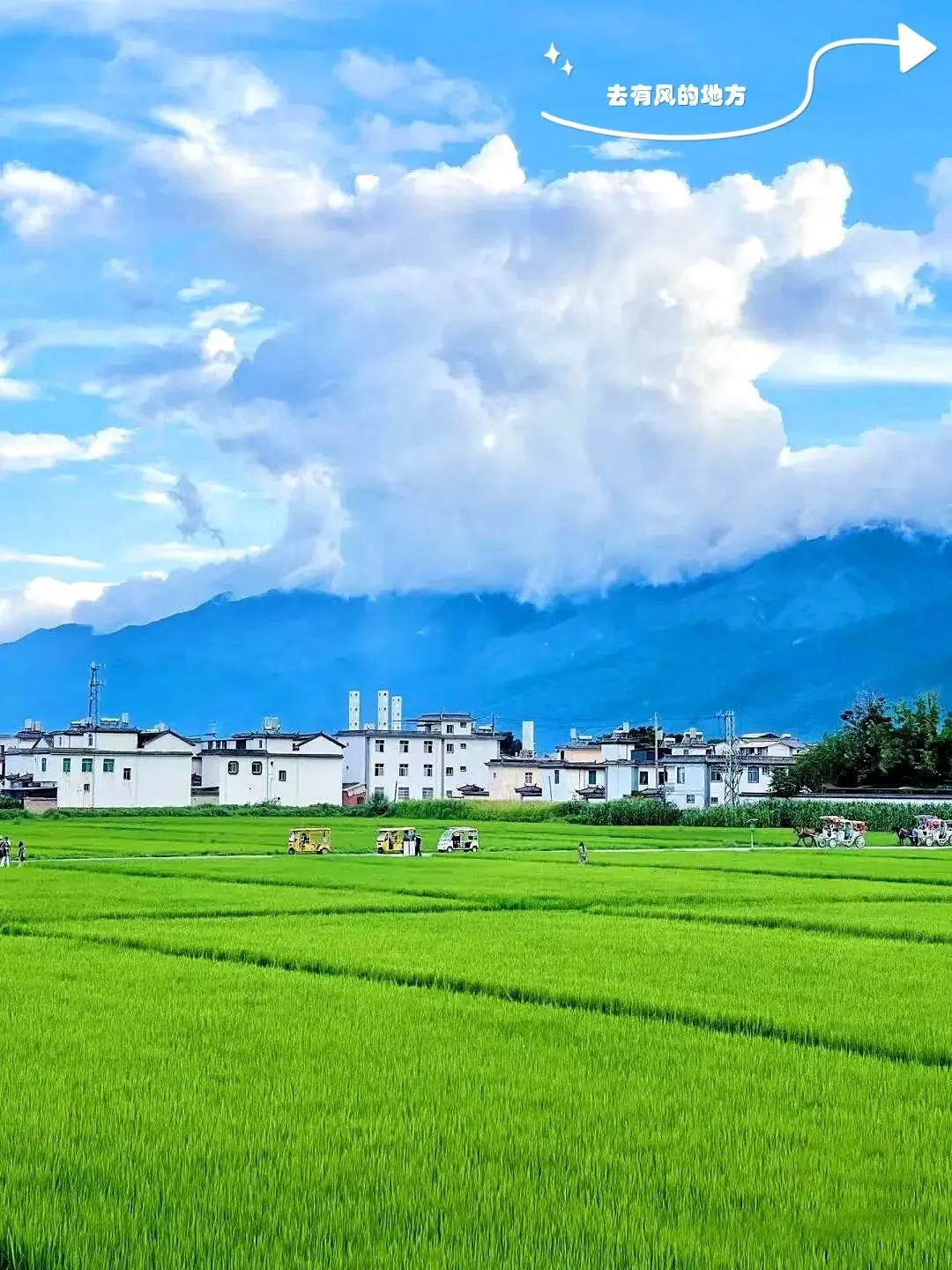 a7aeca4632dc766a6e316f419bf6a30f-sz_229940