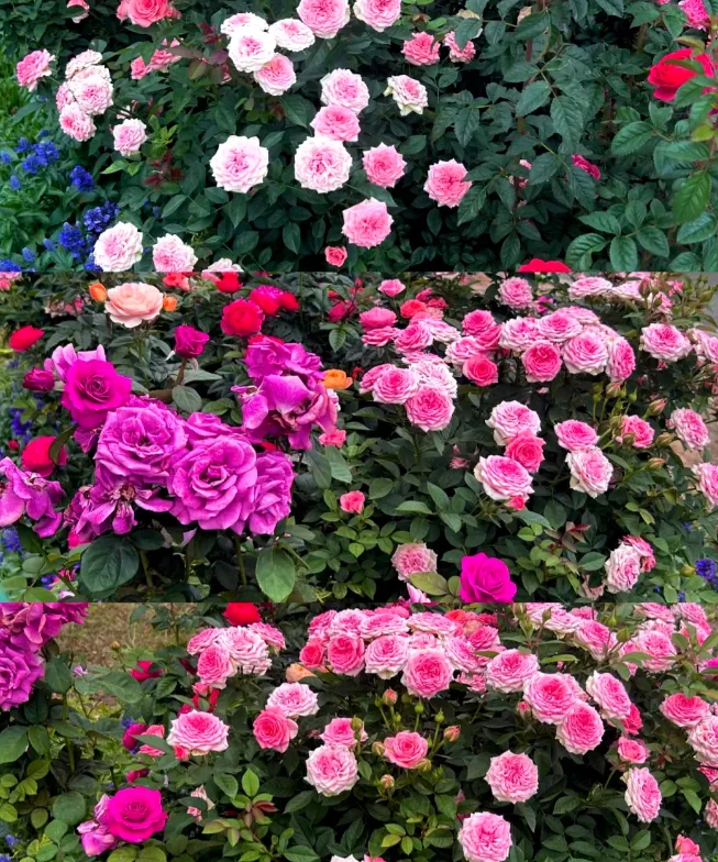 a7cb3625e48eced10dcb6c8fde7f6330-sz_1083298