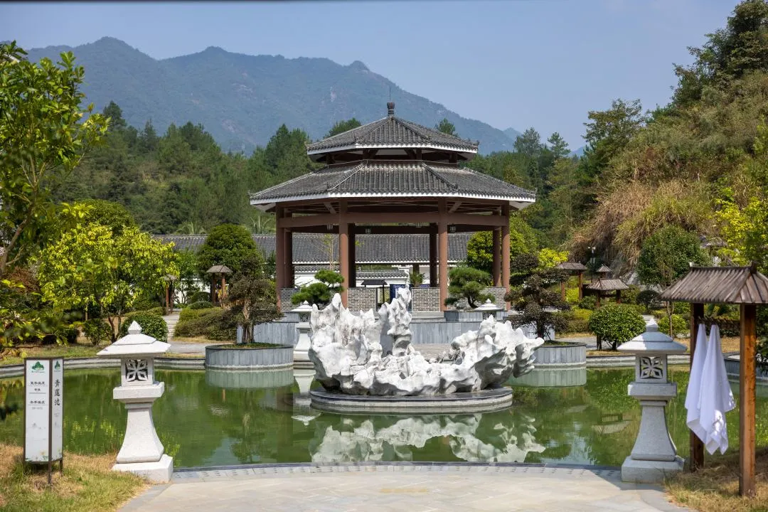 a7d815b6d825f88a2157fcdb51997522-sz_184190 a7d815b6d825f88a2157fcdb51997522-sz_184190