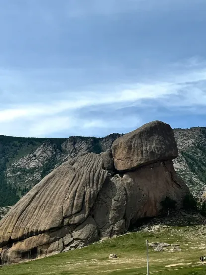 a881fc915092ea365d81523442108d1f-sz_464749