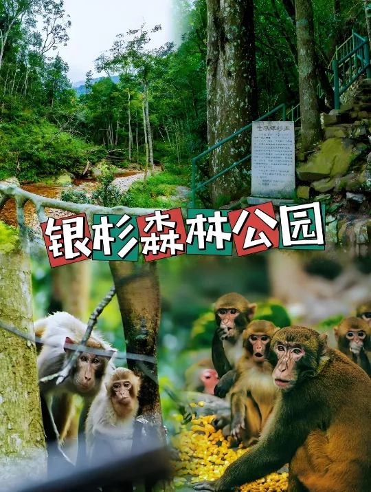 a8851584095e8f2fae1661d0a10c6686-sz_879248-1