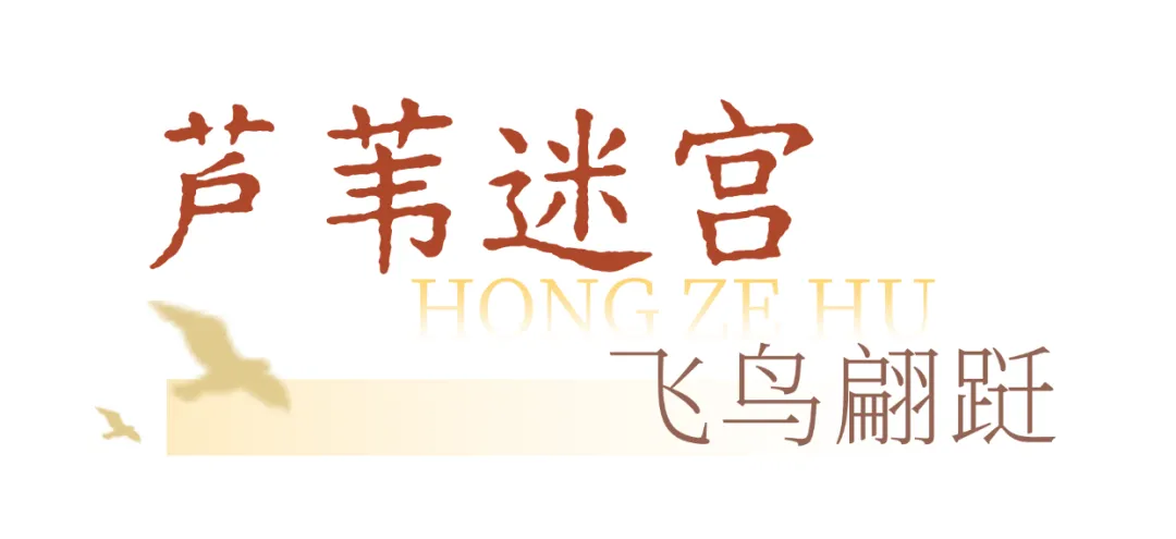 a898a8e3819e3ebade0c1495db452844-sz_91727