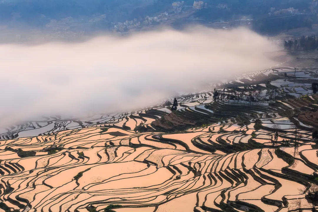 a8b7473e26647ee44e61207dfb006ef5-sz_2622628-1