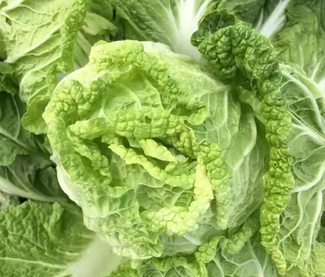 a8c5d01fb12a71df3ecfd553616b01a8-sz_187672-1