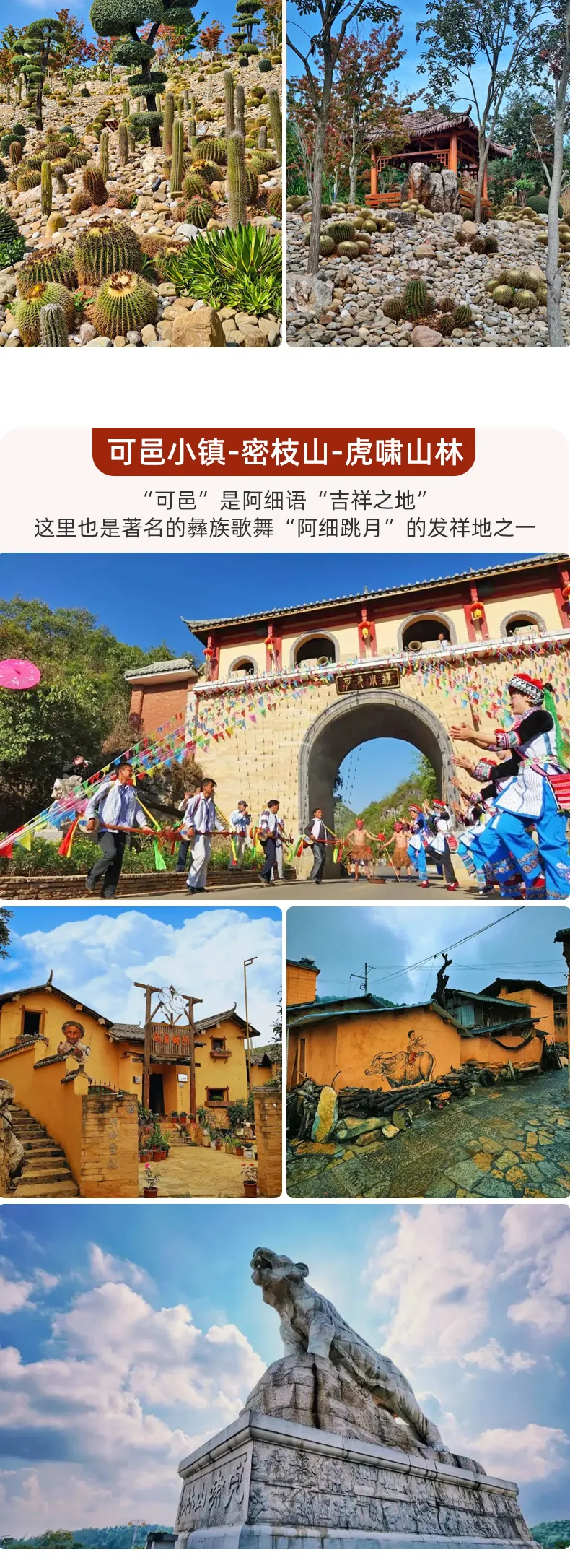 a8c8574b9a0e63276887164b4be49a86-sz_1593201