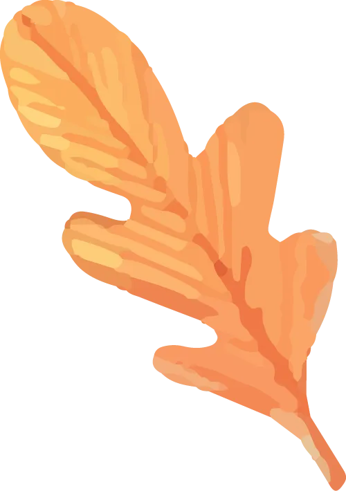 a8e118efd2a8f67063e1bd1d83a017b2_sz-48925-15