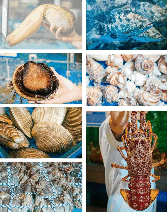 a8f2997a41489566ce2ebd5a92b38147-sz_1442338-1