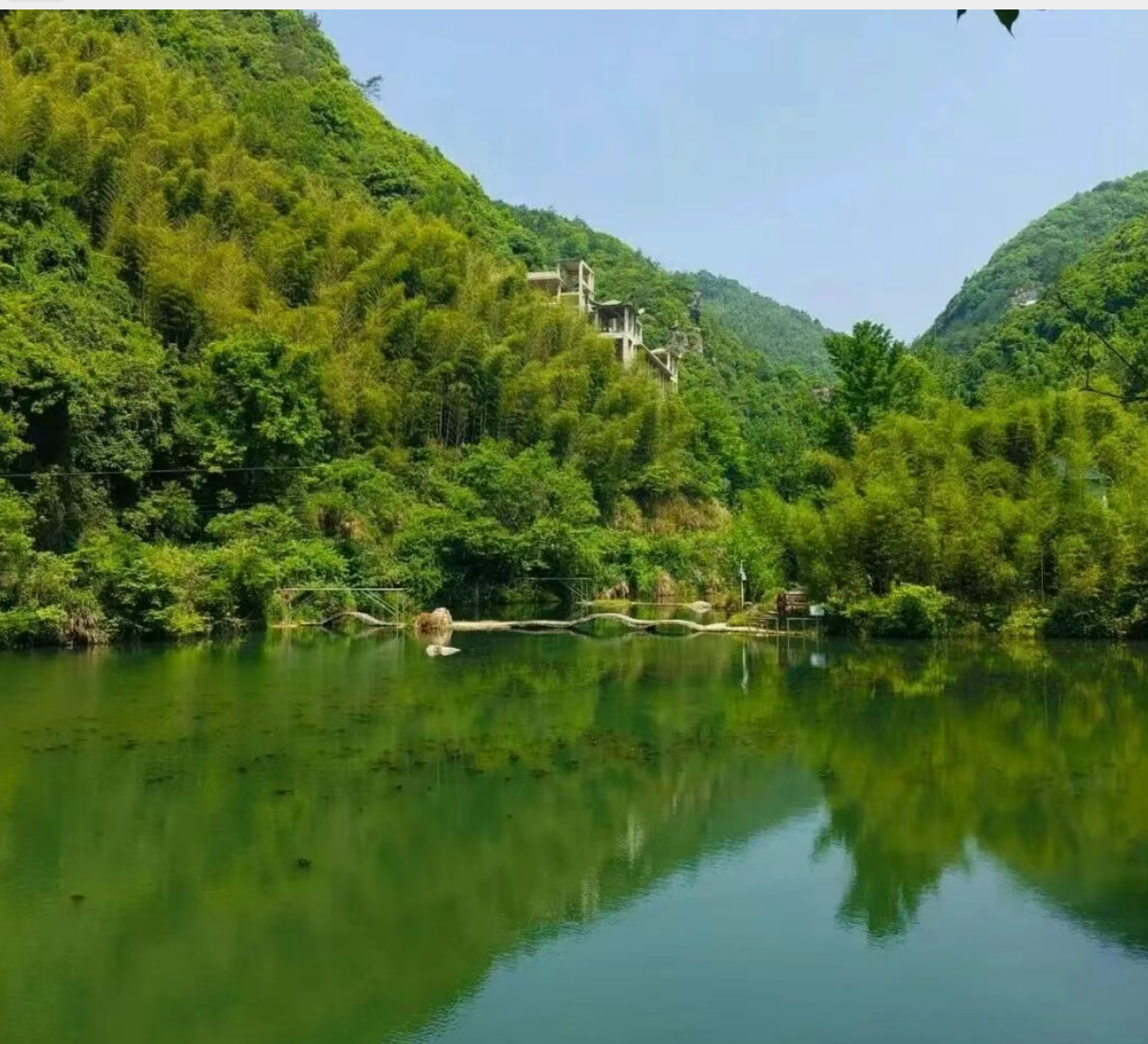 a935ba99c366a7dbccd817d9b1ab1c55