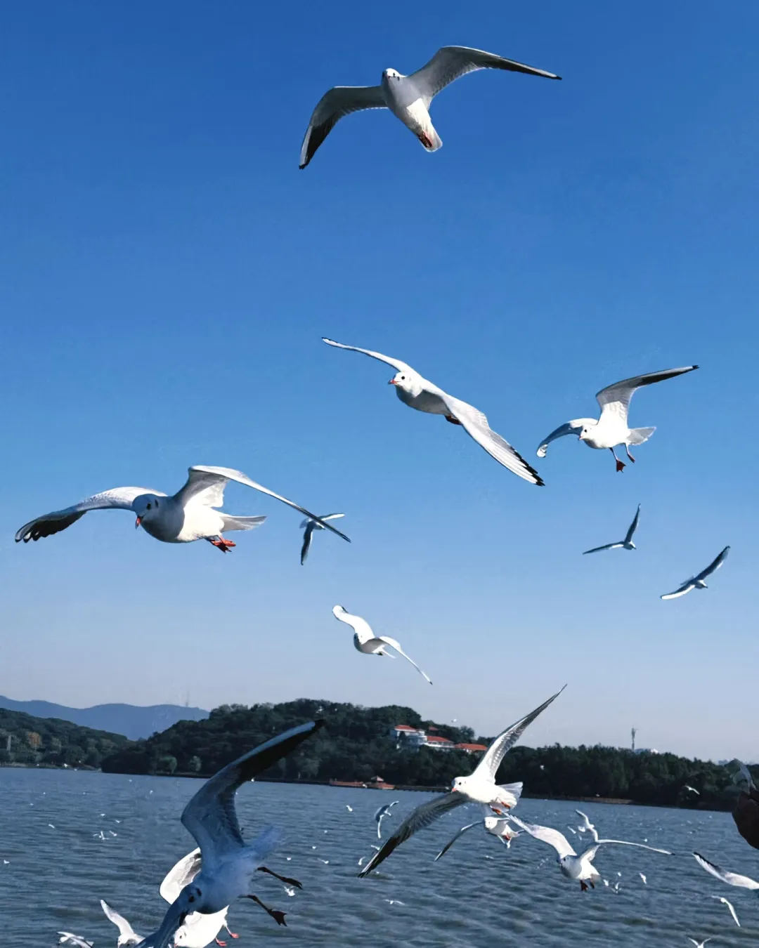 a946316c27ac2a1631eb26ef569f2a10-sz_886975