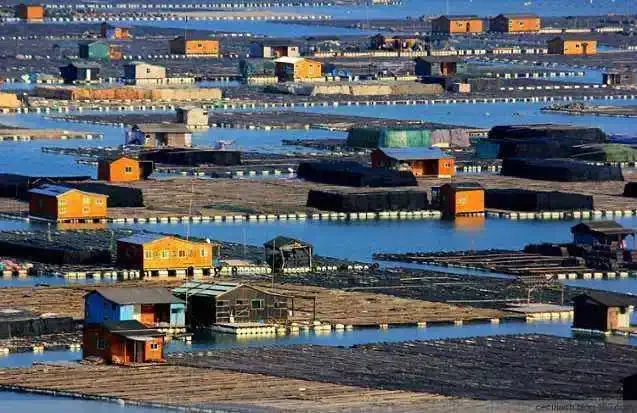 a954898fee2c1210dbb2eadbf5ded5a7-sz_727958