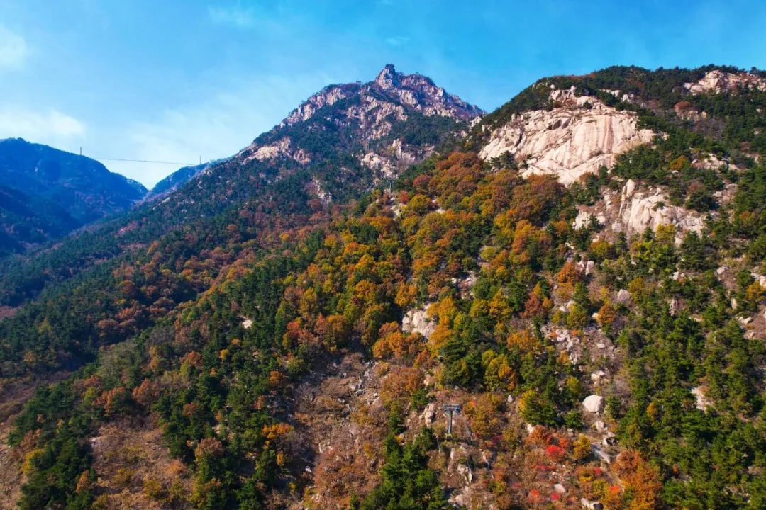 a968d7b48a3b716218e49c23b784a324-sz_310554 a968d7b48a3b716218e49c23b784a324-sz_310554