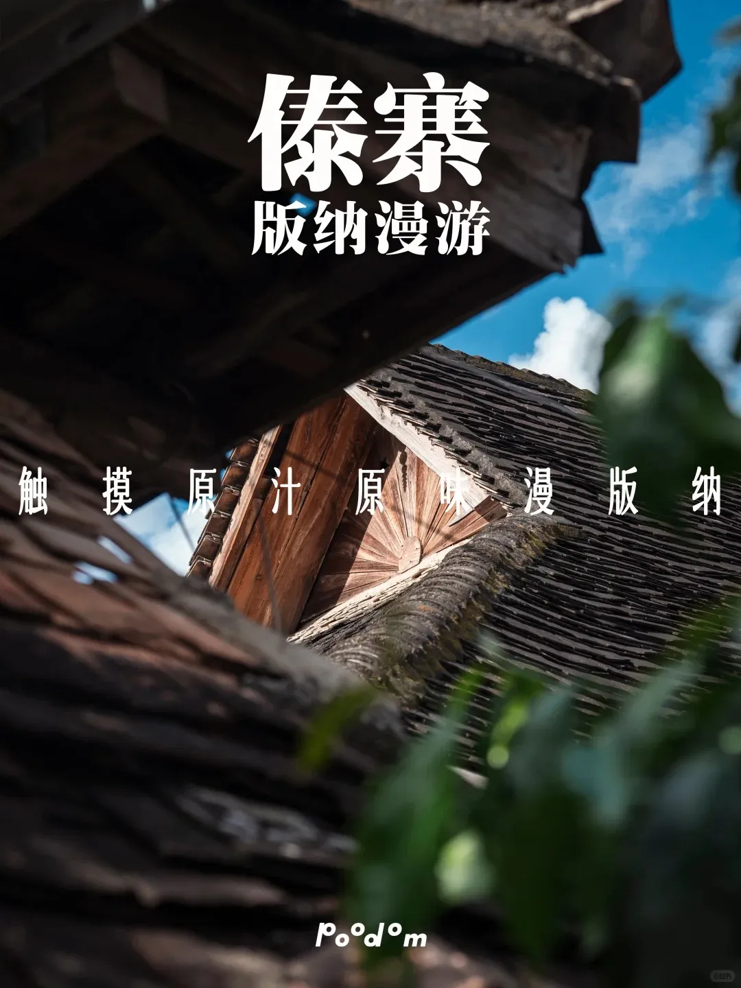 a972b12b7f02a7085e76a39e2e0ddd6e-sz_278681