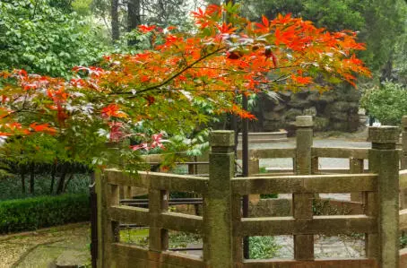 a9c6e8753e61bb8225e7896840886e71-sz_48726