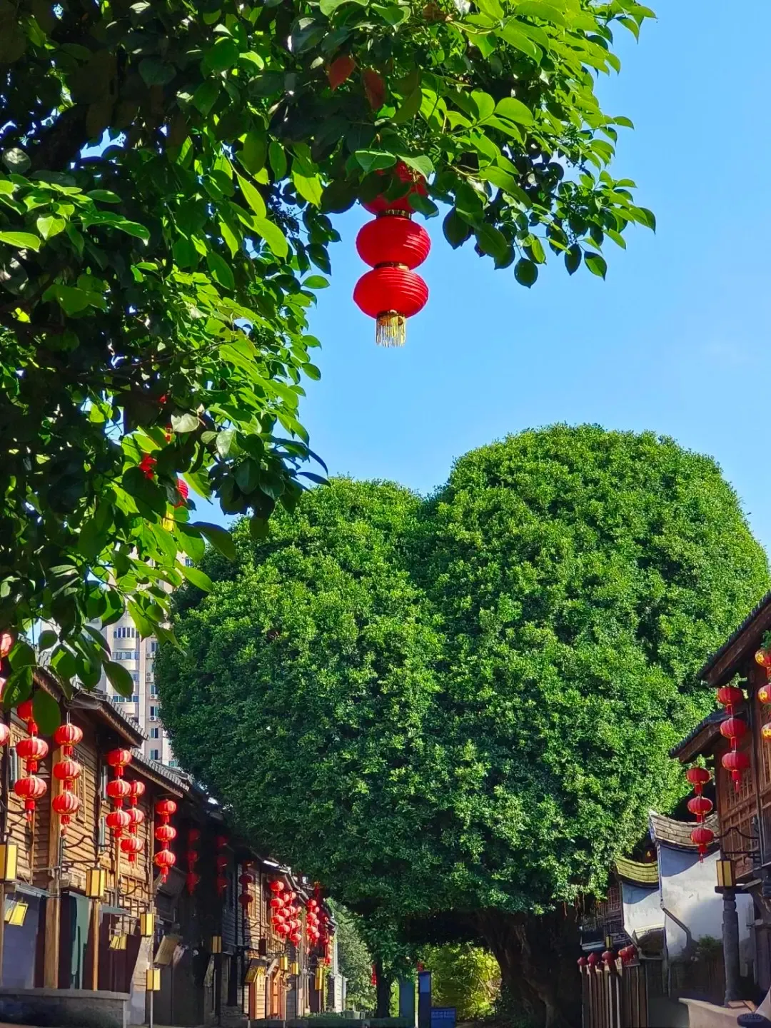 aa5348e7401d31bdd99b3f58fa02c70d-sz_599634 aa5348e7401d31bdd99b3f58fa02c70d-sz_599634