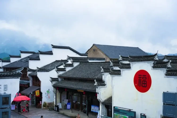 aa55b7050a21336d68eee649ee8f8a34-sz_105838