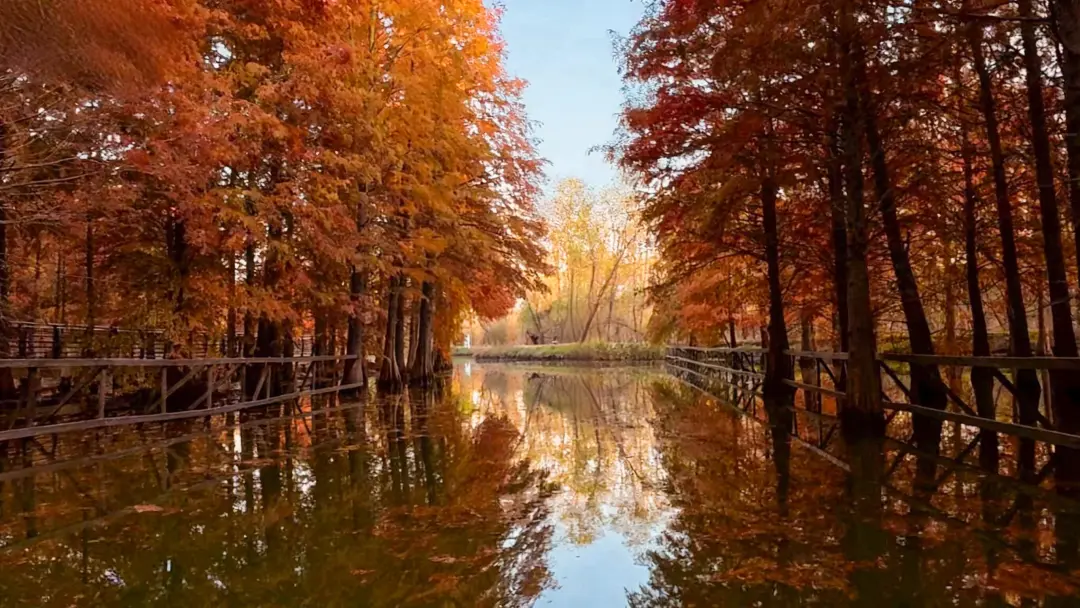 aa630dfc944c066de97710721dcd593c-sz_699114 aa630dfc944c066de97710721dcd593c-sz_699114