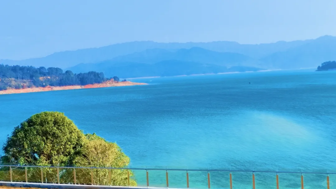 aab271debf41563e0a89f88dc8c59a56-sz_3033779