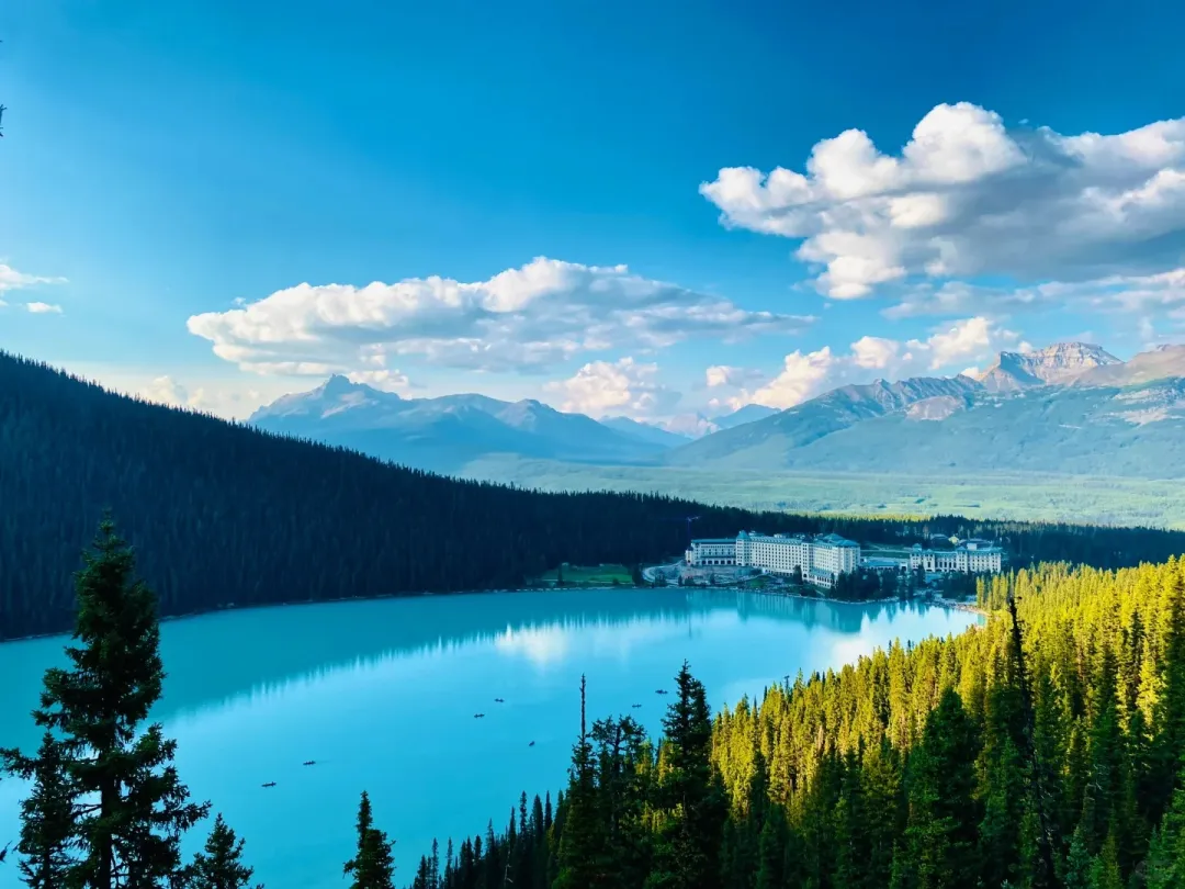 aac4c8551968f2903f83783e0c5100ce-sz_348756 aac4c8551968f2903f83783e0c5100ce-sz_348756