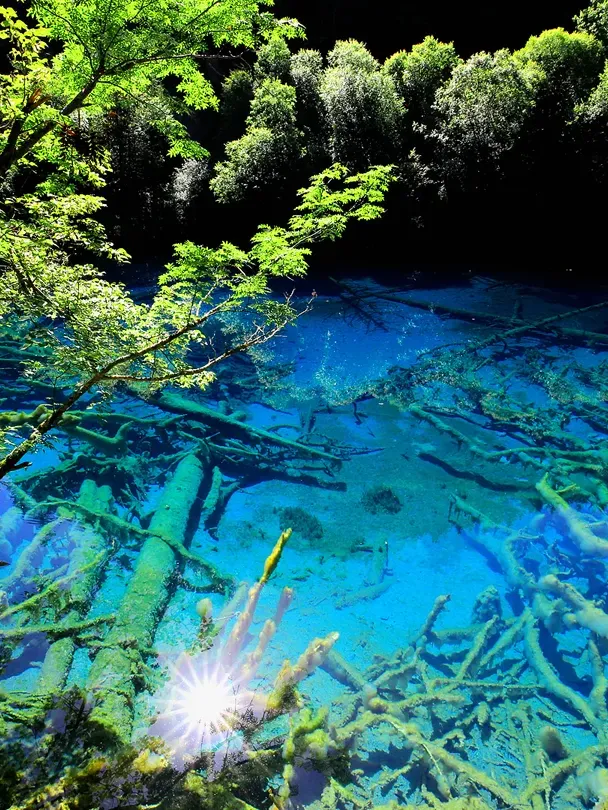 aac5eabf6ea9912e1f0f3367dd2b7cec-sz_2414900