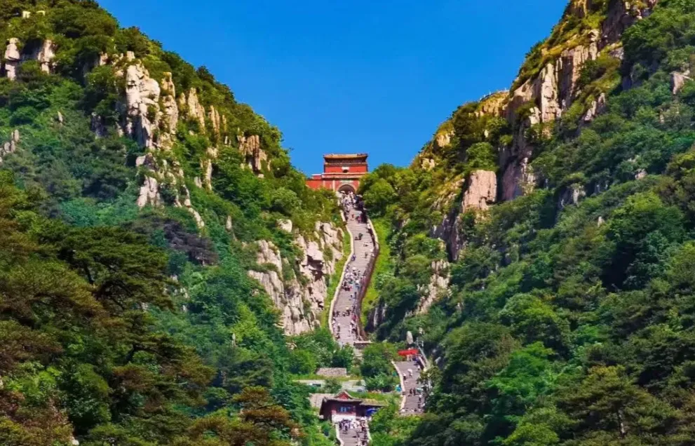 aae72fa71adbf9f8f5e3e81c1c0ad5e5-sz_1240383 aae72fa71adbf9f8f5e3e81c1c0ad5e5-sz_1240383