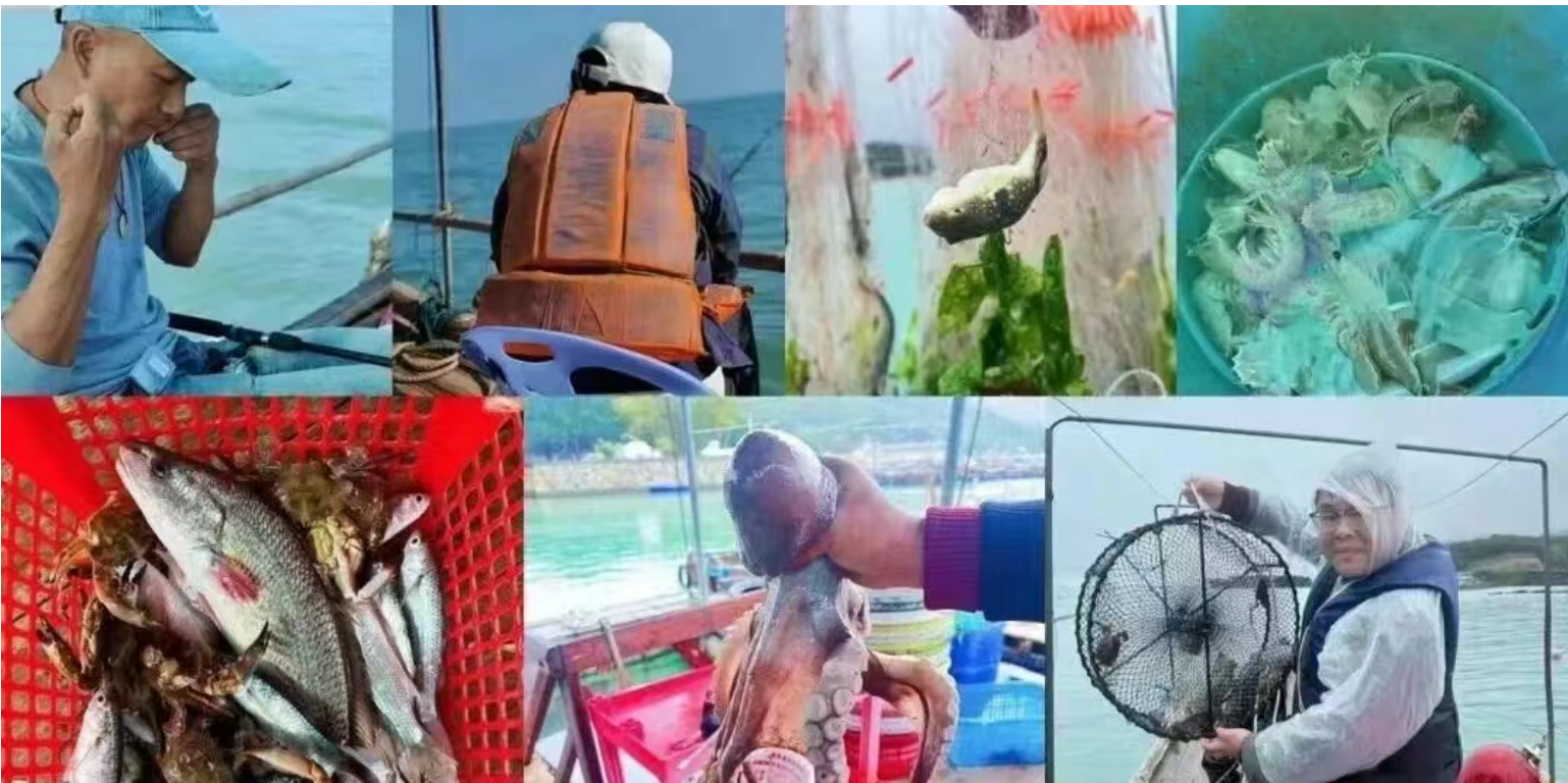 aaf5591e1b14af79e73f4c6f22cf88d9 aaf5591e1b14af79e73f4c6f22cf88d9