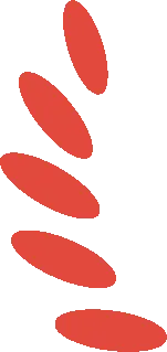 ab1d5f56f9384521f2069f26ebeeeb9e-sz_2389 ab1d5f56f9384521f2069f26ebeeeb9e-sz_2389