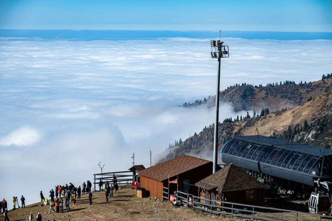 ab29038abc06d756907bf69b0c9f0c1c-sz_295878 ab29038abc06d756907bf69b0c9f0c1c-sz_295878