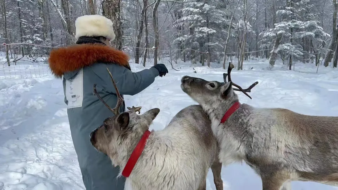 ab811999eaaa6fa20799337e4a7c55fc-sz_1431029 ab811999eaaa6fa20799337e4a7c55fc-sz_1431029