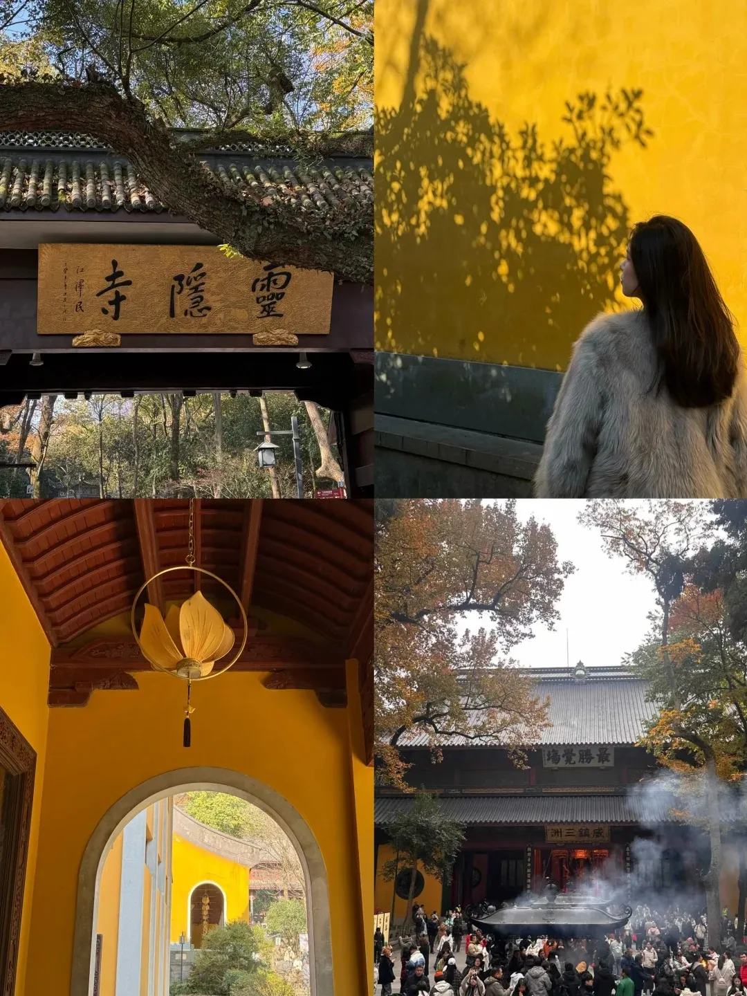 abd01a9285de78c206faca698fc531b3-sz_509391 abd01a9285de78c206faca698fc531b3-sz_509391